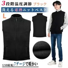 電熱ベスト 電熱ジャケット 前後5箇所発熱 加熱服 防寒 男女兼用 ブラック L