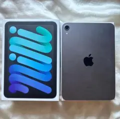 iPad mini 6　64GB スペースグレー 本体