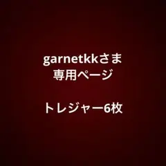 garnetkkさま専用　トレジャー6枚