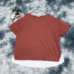 Honeys シネマクラブ (XL) 半袖 クルーネック カットソー 重ね着風