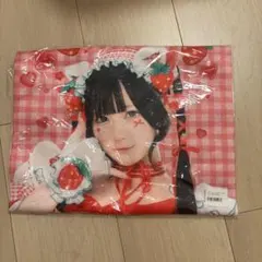 s*n様 ウマ娘 Bic camera ビックカメラ クッションカバー スティル
