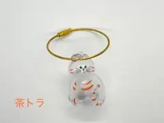 うちの子のけだまだま　訳あり　【茶トラ】