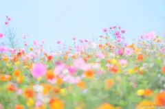 GUCCI クレスト チャーム ネックレス 日本製 純金 メッキ 喜平 チェーンのサムネイル