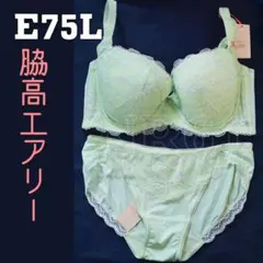 E75Lセット　 脇高 エアリー　チャーミングラマー　ダズリングサマー