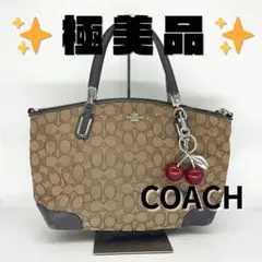 【美品】COACH シグネチャー トートバッグ 33737