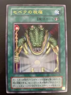 2026年最新】セベクの祝福 遊戯王の人気アイテム - メルカリ