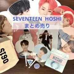 SEVENTEEN セブチ ホシ グッズ まとめ売り クリアファイル うちわ 他