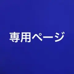 専用ページ
