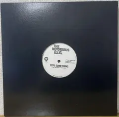 THE NOTORIOUS BIG/1970 SOMETHING 12インチ