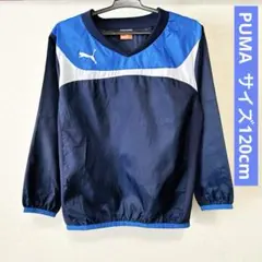 プーマ ピステ ウィンドブレーカー 120cm ネイビー サッカー