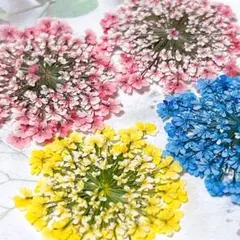 Flora Delight様 リクエスト 4点 まとめ商品