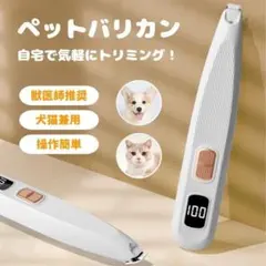 Item thumbnail for item ded3d1f9-10ff-4c53-a453-e4c835e583d9