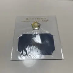 嵐 ワクワク学校2019 ピンズ