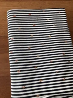 Item thumbnail for item 5d1b7d5d-d9d6-41b6-bf9f-44652c3044f6