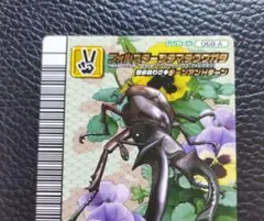 なっきー様 リクエスト 2点 まとめ商品