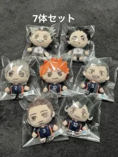 セガラッキーくじ ハイキュー!! ぬいぐるみ マスコット セット