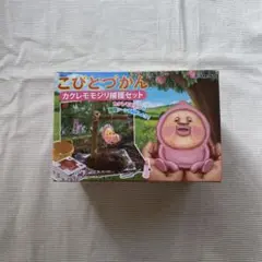 こびとづかん　カクレモモジリ捕獲セット