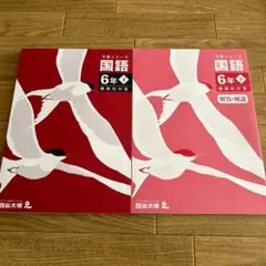 予習シリーズ 国語 6年下 難関校対策 解答解説