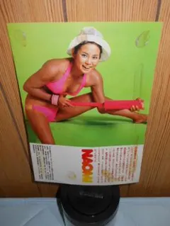 2001年佐藤江梨子大磯ロングビーチビキニポスター - メルカリ