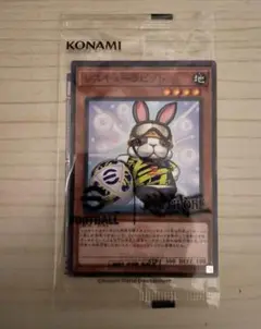 レスキューラビット