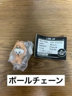 SKZOO つまんでつなげてますこっとvol.2リービットガチャ