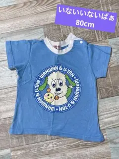 いないいないばぁ 80cm