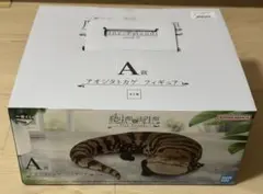 アオジタトカゲ
