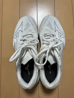 Mizuno バドミントンシューズ ウエーブクローEL2 24.0cmのサムネイル