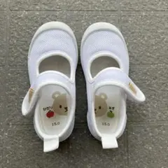 Item thumbnail for item cbe20014-f419-40ca-b116-9cff521b6e85