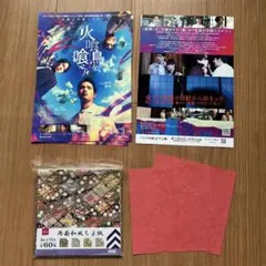 SnowMan宮舘涼太フライヤーセット