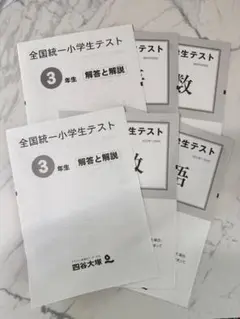 全国統一小学生テスト 3年生 解答と解説　2022年2回分
