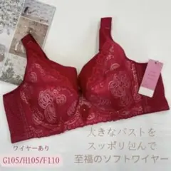 ❤️至福のソフトワイヤー　フルカップブラ　　　　G105 H105 F110 ❤️至福のソフトワイヤー フルカップブラ G105 H105 F110 - メルカリ