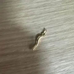 Loroヴィンテージで購入　チャーム