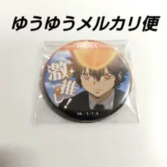 家庭教師ヒットマンREBORN! 激推し缶バッジ5 沢田綱吉①