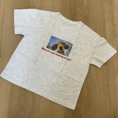 新品♡韓国nightbebe わんわんTシャツ　XLsize