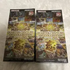 2026年最新】クォーターセンチュリーアートコレクション boxの人気