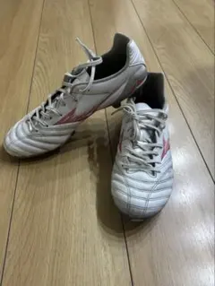 Mizuno モナルシーダ Neo3 プロ