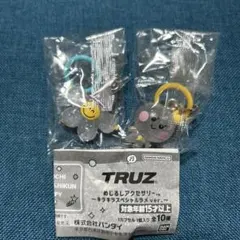 TRUZめじるしアクセサリー