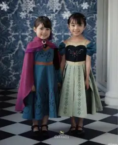 2026年最新】エルサ ドレス 100 コトリの人気アイテム - メルカリ