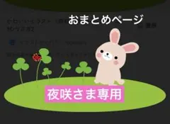 夜咲様 リクエスト 4点 まとめ商品