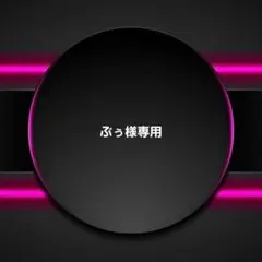 ぶぅ様専用