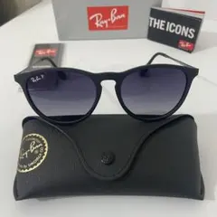 Ray-Ban サングラス RB4171 エリカ偏光