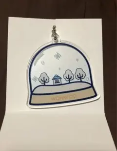 SEVENTEEN  セブチカフェ　ウォヌ　アクリルキーホル