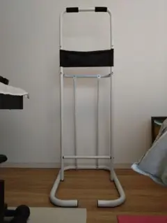 ぶら下がり健康器 FA890 トレーニング器具