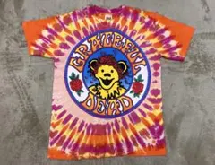 90's『GRATEFUL DEAD』バンT ヴィンテージ Tシャツ タイダイ