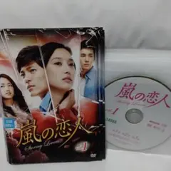アジア/DVD 韓流　韓国ドラマ　嵐の恋人　20枚セット　まとめ売り