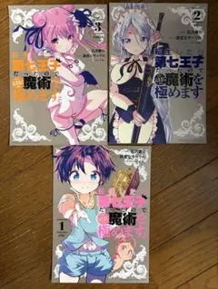 2026年最新】転生したら第七王子だったので、気ままに魔術を極めます