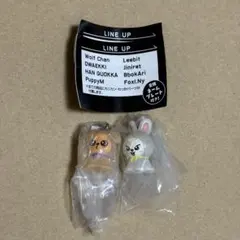 straykids skzoo めじるしアクセサリー　リノ　スンミン