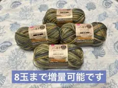 ダイソー　毛糸　リサイクルポリエステル毛糸　段染　サバンナ　4玉 セリア