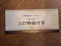YAMADA HLDGS. お買物優待券 10枚 五千円 - メルカリ